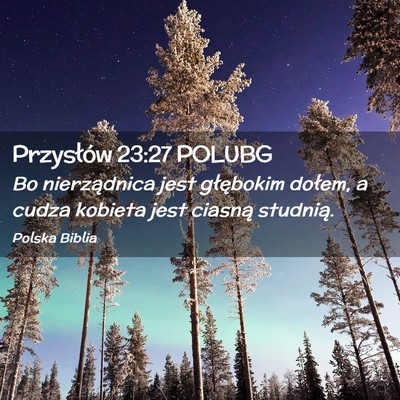 Picture 02 - Przysłów 23:27 POLUBG - Bo nierządnica jest głębokim dołem, a cudza - Bible Verse Picture