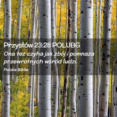 Picture 02 - Przysłów 23:28 POLUBG - Ona też czyha jak zbój i pomnaża przewrotnych - Bible Verse Picture