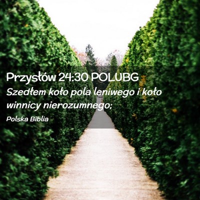 Picture 02 - Przysłów 24:30 POLUBG - Szedłem koło pola leniwego i koło winnicy - Bible Verse Picture