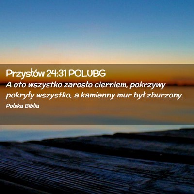 Picture 02 - Przysłów 24:31 POLUBG - A oto wszystko zarosło cierniem, pokrzywy - Bible Verse Picture