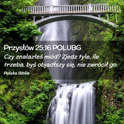 Picture 02 - Przysłów 25:16 POLUBG - Czy znalazłeś miód? Zjedz tyle, ile trzeba, - Bible Verse Picture