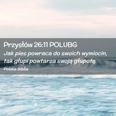 Picture 02 - Przysłów 26:11 POLUBG - Jak pies powraca do swoich wymiocin, tak głupi - Bible Verse Picture