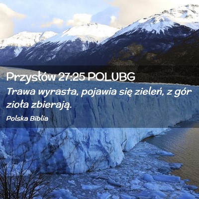 Picture 02 - Przysłów 27:25 POLUBG - Trawa wyrasta, pojawia się zieleń, z gór - Bible Verse Picture
