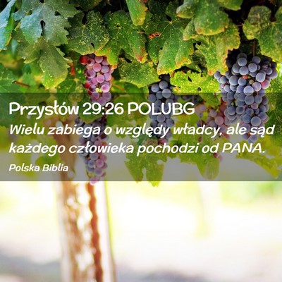 Picture 02 - Przysłów 29:26 POLUBG - Wielu zabiega o względy władcy, ale sąd - Bible Verse Picture