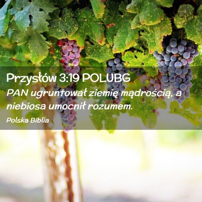 Picture 02 - Przysłów 3:19 POLUBG - PAN ugruntował ziemię mądrością, a niebiosa - Bible Verse Picture