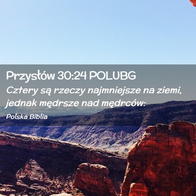 Picture 02 - Przysłów 30:24 POLUBG - Cztery są rzeczy najmniejsze na ziemi, jednak - Bible Verse Picture