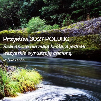 Picture 02 - Przysłów 30:27 POLUBG - Szarańcze nie mają króla, a jednak wszystkie - Bible Verse Picture