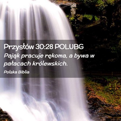 Picture 02 - Przysłów 30:28 POLUBG - Pająk pracuje rękoma, a bywa w pałacach - Bible Verse Picture