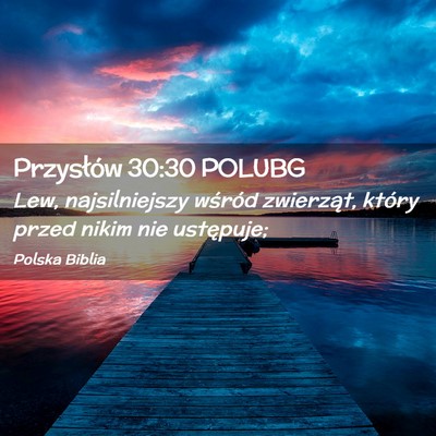 Picture 02 - Przysłów 30:30 POLUBG - Lew, najsilniejszy wśród zwierząt, który - Bible Verse Picture