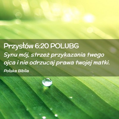 Picture 02 - Przysłów 6:20 POLUBG - Synu mój, strzeż przykazania twego ojca i nie - Bible Verse Picture