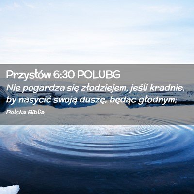 Picture 02 - Przysłów 6:30 POLUBG - Nie pogardza się złodziejem, jeśli kradnie, by - Bible Verse Picture