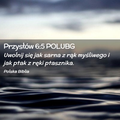 Picture 02 - Przysłów 6:5 POLUBG - Uwolnij się jak sarna z rąk myśliwego i jak - Bible Verse Picture