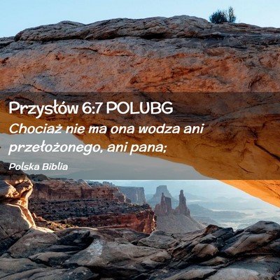 Picture 02 - Przysłów 6:7 POLUBG - Chociaż nie ma ona wodza ani przełożonego, ani - Bible Verse Picture