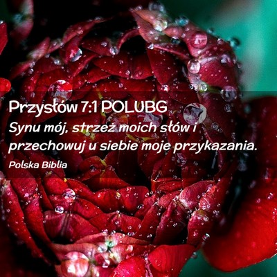 Picture 02 - Przysłów 7:1 POLUBG - Synu mój, strzeż moich słów i przechowuj u - Bible Verse Picture