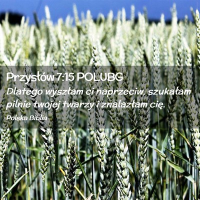 Picture 02 - Przysłów 7:15 POLUBG - Dlatego wyszłam ci naprzeciw, szukałam pilnie - Bible Verse Picture