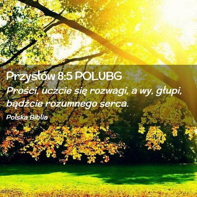 Picture 02 - Przysłów 8:5 POLUBG - Prości, uczcie się rozwagi, a wy, głupi, - Bible Verse Picture
