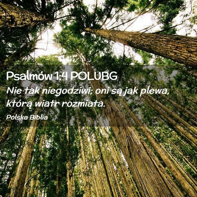Picture 02 - Psalmów 1:4 POLUBG - Nie tak niegodziwi; oni są jak plewa, którą - Bible Verse Picture