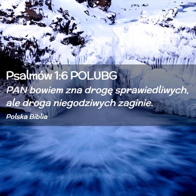Picture 02 - Psalmów 1:6 POLUBG - PAN bowiem zna drogę sprawiedliwych, ale droga - Bible Verse Picture