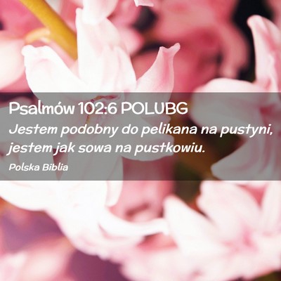 Picture 02 - Psalmów 102:6 POLUBG - Jestem podobny do pelikana na pustyni, jestem jak - Bible Verse Picture