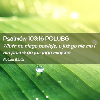 Picture 02 - Psalmów 103:16 POLUBG - Wiatr na niego powieje, a już go nie ma i nie - Bible Verse Picture