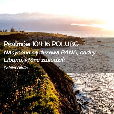 Picture 02 - Psalmów 104:16 POLUBG - Nasycone są drzewa PANA, cedry Libanu, które - Bible Verse Picture