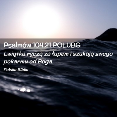 Picture 02 - Psalmów 104:21 POLUBG - Lwiątka ryczą za łupem i szukają swego - Bible Verse Picture