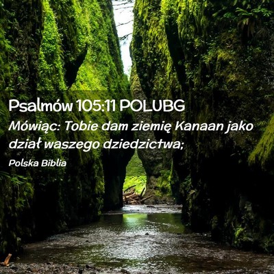 Picture 02 - Psalmów 105:11 POLUBG - Mówiąc: Tobie dam ziemię Kanaan jako dział - Bible Verse Picture
