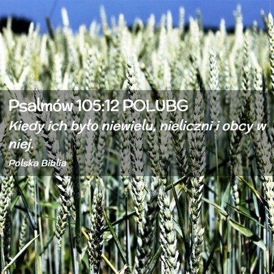 Picture 02 - Psalmów 105:12 POLUBG - Kiedy ich było niewielu, nieliczni i obcy w - Bible Verse Picture