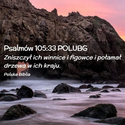 Picture 02 - Psalmów 105:33 POLUBG - Zniszczył ich winnice i figowce i połamał - Bible Verse Picture