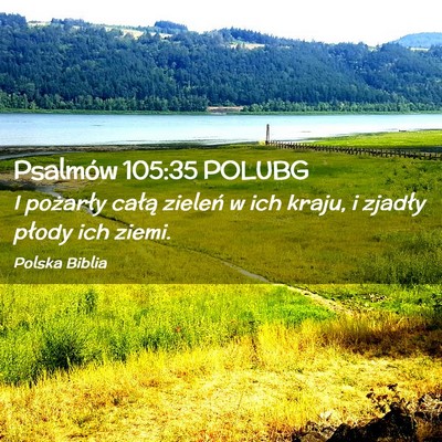 Picture 02 - Psalmów 105:35 POLUBG - I pożarły całą zieleń w ich kraju, i zjadły - Bible Verse Picture