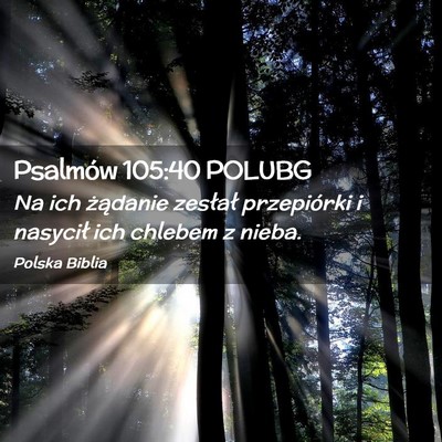 Picture 02 - Psalmów 105:40 POLUBG - Na ich żądanie zesłał przepiórki i nasycił - Bible Verse Picture