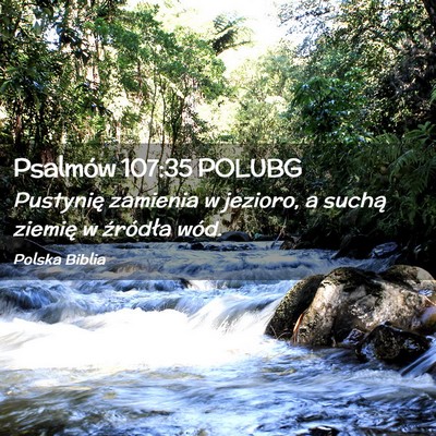 Picture 02 - Psalmów 107:35 POLUBG - Pustynię zamienia w jezioro, a suchą ziemię w - Bible Verse Picture