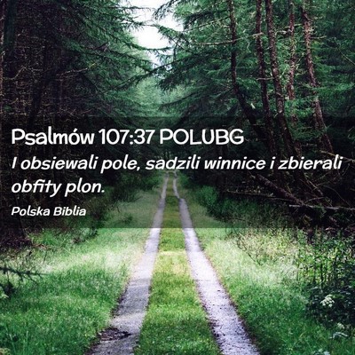 Picture 02 - Psalmów 107:37 POLUBG - I obsiewali pole, sadzili winnice i zbierali - Bible Verse Picture