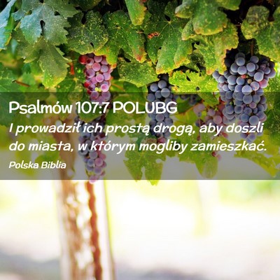 Picture 02 - Psalmów 107:7 POLUBG - I prowadził ich prostą drogą, aby doszli do - Bible Verse Picture