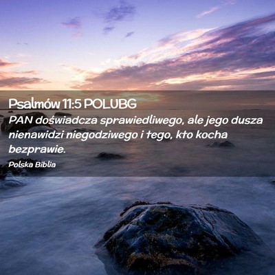 Picture 02 - Psalmów 11:5 POLUBG - PAN doświadcza sprawiedliwego, ale jego dusza - Bible Verse Picture
