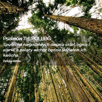 Picture 02 - Psalmów 11:6 POLUBG - Spuści na niegodziwych deszcz sideł, ognia i - Bible Verse Picture