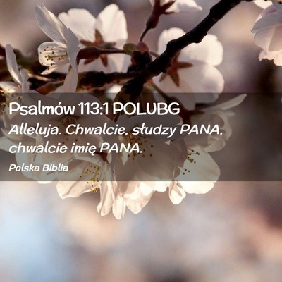 Picture 02 - Psalmów 113:1 POLUBG - Alleluja. Chwalcie, słudzy PANA, chwalcie imię - Bible Verse Picture