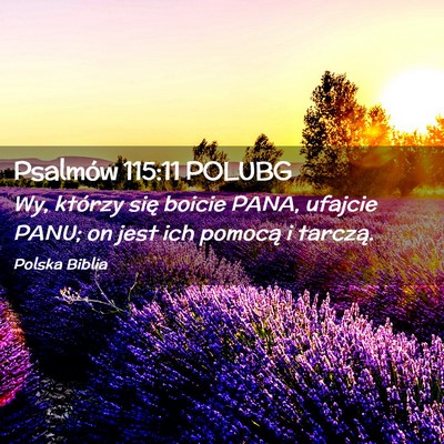 Picture 02 - Psalmów 115:11 POLUBG - Wy, którzy się boicie PANA, ufajcie PANU; on - Bible Verse Picture