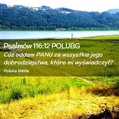 Picture 02 - Psalmów 116:12 POLUBG - Cóż oddam PANU za wszystkie jego - Bible Verse Picture