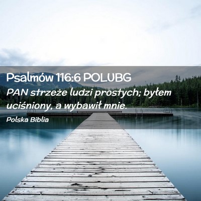 Picture 02 - Psalmów 116:6 POLUBG - PAN strzeże ludzi prostych; byłem uciśniony, a - Bible Verse Picture