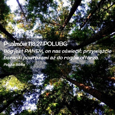 Picture 02 - Psalmów 118:27 POLUBG - Bóg jest PANEM, on nas oświecił; przywiążcie - Bible Verse Picture