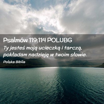 Picture 02 - Psalmów 119:114 POLUBG - Ty jesteś moją ucieczką i tarczą, pokładam - Bible Verse Picture
