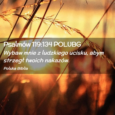 Picture 02 - Psalmów 119:134 POLUBG - Wybaw mnie z ludzkiego ucisku, abym strzegł - Bible Verse Picture