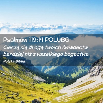 Picture 02 - Psalmów 119:14 POLUBG - Cieszę się drogą twoich świadectw bardziej - Bible Verse Picture