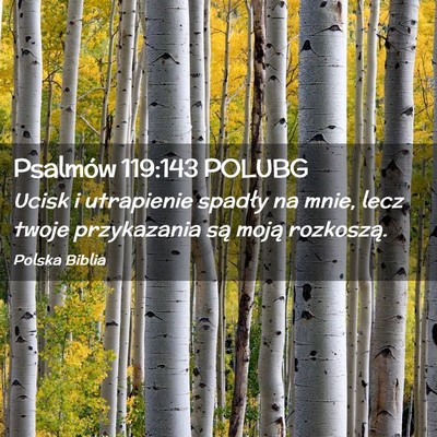 Picture 02 - Psalmów 119:143 POLUBG - Ucisk i utrapienie spadły na mnie, lecz twoje - Bible Verse Picture