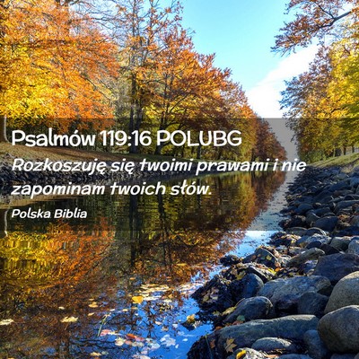 Picture 02 - Psalmów 119:16 POLUBG - Rozkoszuję się twoimi prawami i nie zapominam - Bible Verse Picture