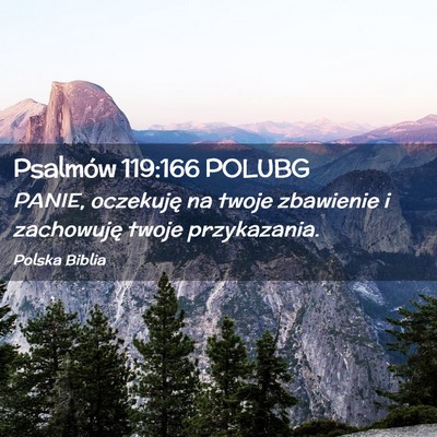Picture 02 - Psalmów 119:166 POLUBG - PANIE, oczekuję na twoje zbawienie i zachowuję - Bible Verse Picture