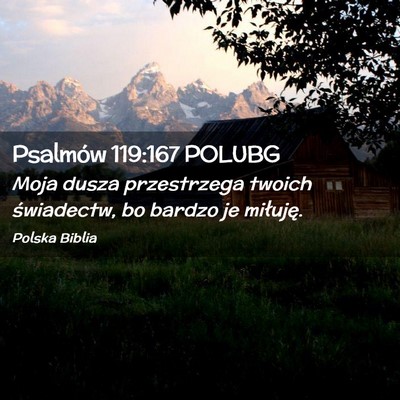 Picture 02 - Psalmów 119:167 POLUBG - Moja dusza przestrzega twoich świadectw, bo - Bible Verse Picture