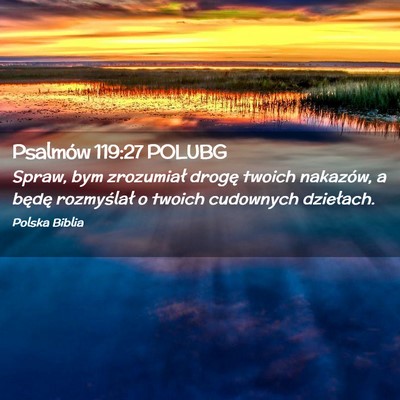 Picture 02 - Psalmów 119:27 POLUBG - Spraw, bym zrozumiał drogę twoich nakazów, a - Bible Verse Picture