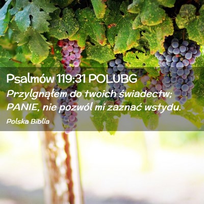 Picture 02 - Psalmów 119:31 POLUBG - Przylgnąłem do twoich świadectw; PANIE, nie - Bible Verse Picture